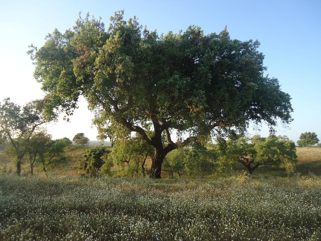Santa Luzia  Herdade Dos Montes Bastos מראה חיצוני תמונה