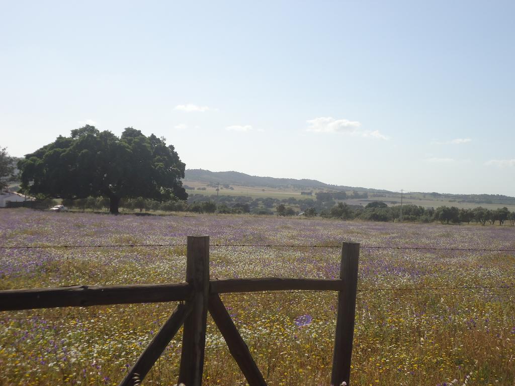 Santa Luzia  Herdade Dos Montes Bastos מראה חיצוני תמונה