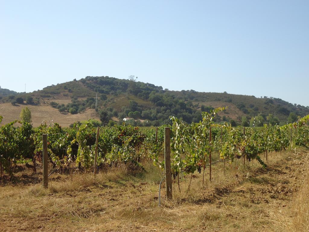 Santa Luzia  Herdade Dos Montes Bastos מראה חיצוני תמונה