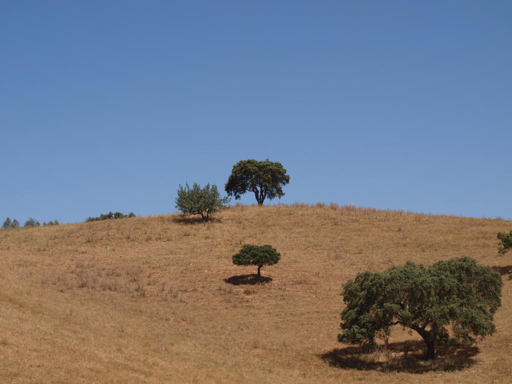 Santa Luzia  Herdade Dos Montes Bastos מראה חיצוני תמונה
